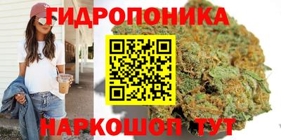 гашиш Дубна